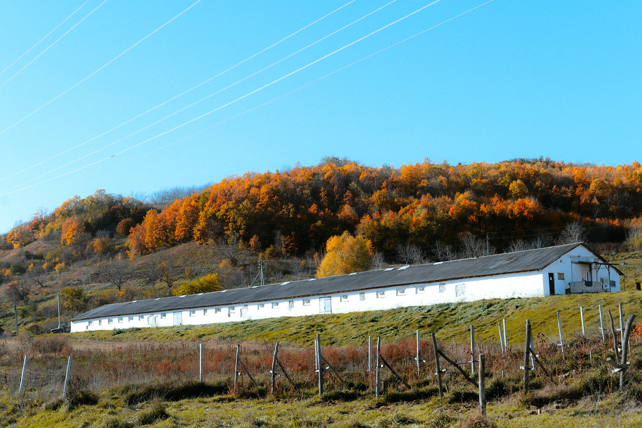 480126787_1173510697765312_6716164751020622401_n