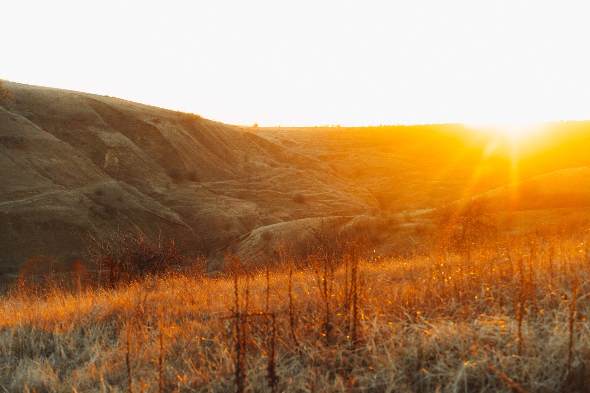 480458849_1174595314323517_7640505706885014737_n