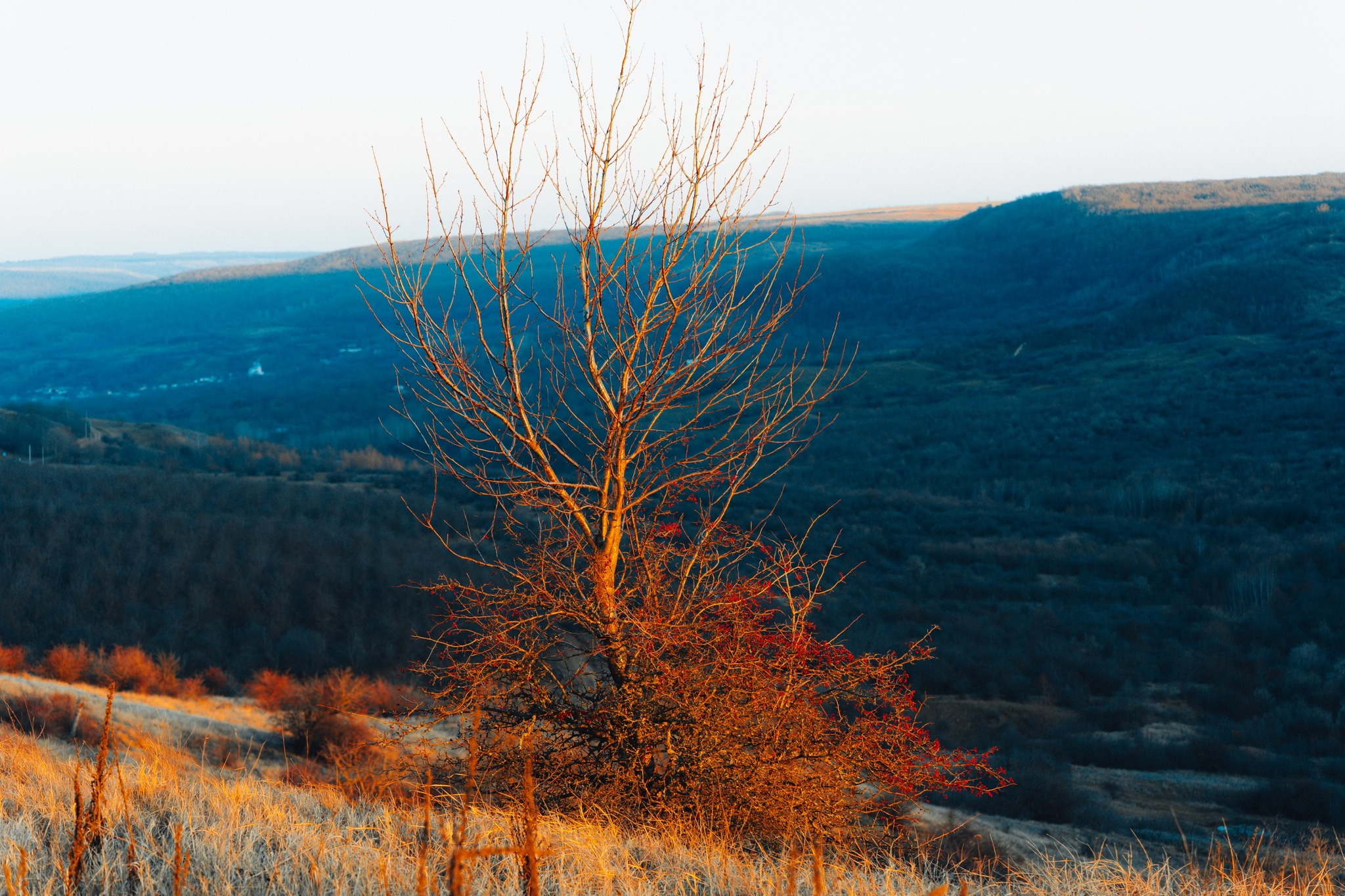 480688644_1174595317656850_6950291698343816157_n