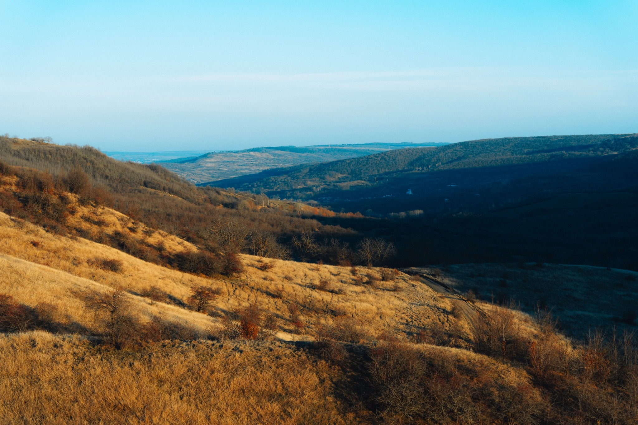 481006873_1174595284323520_1305954241995927357_n