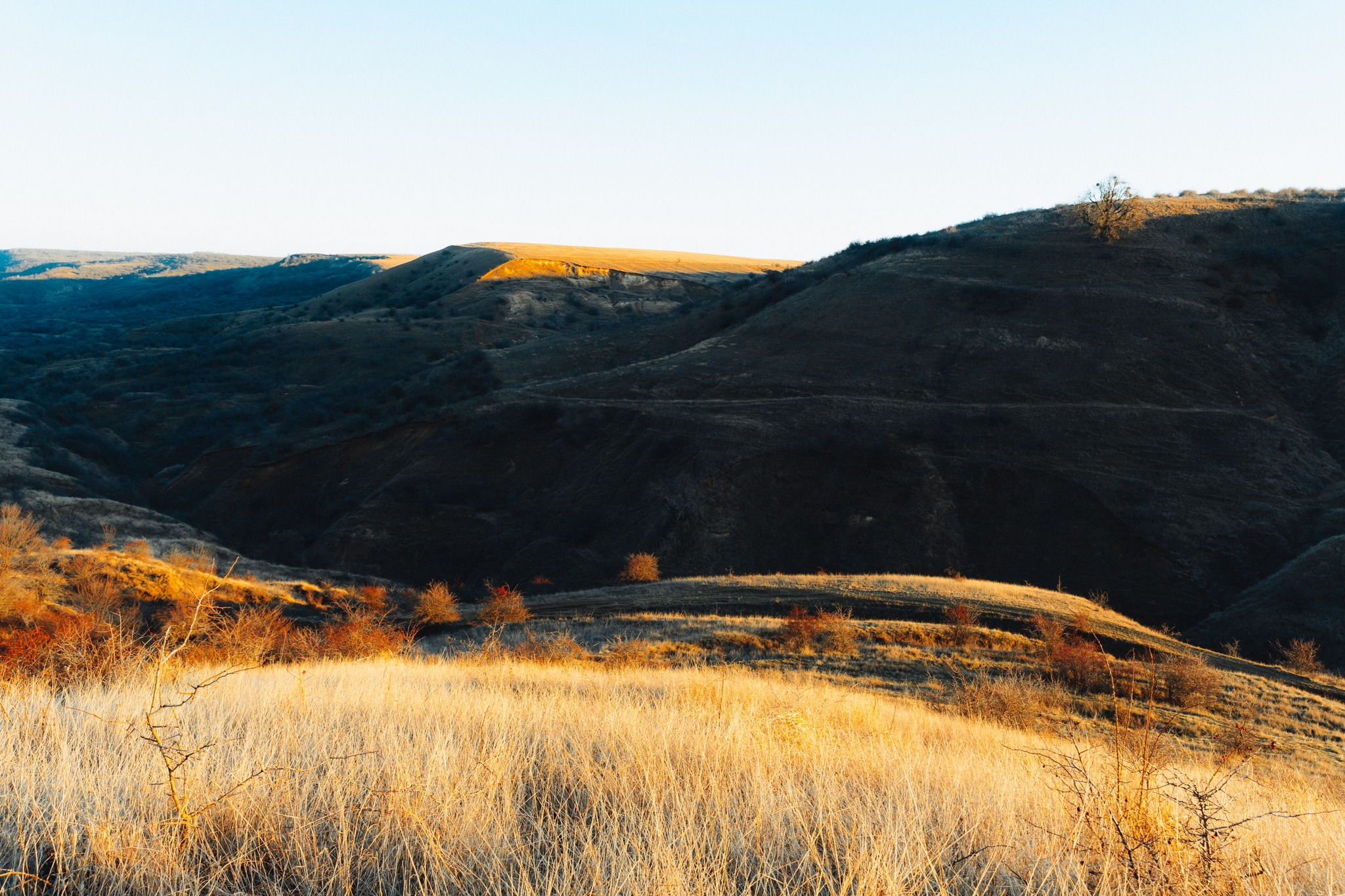 481309659_1174595307656851_7247732660212117197_n