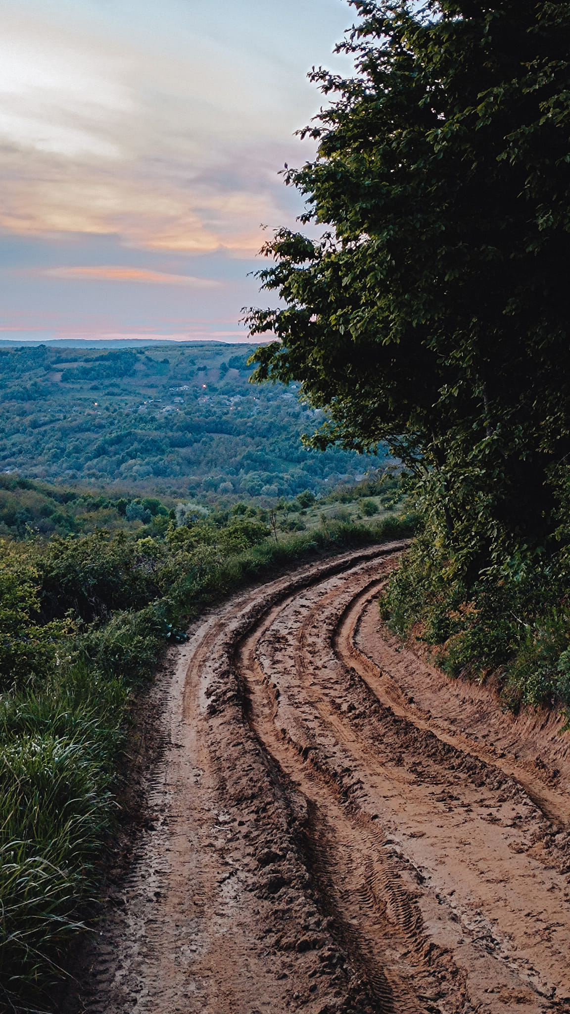 481819664_1168704488245933_8218892156871148983_n