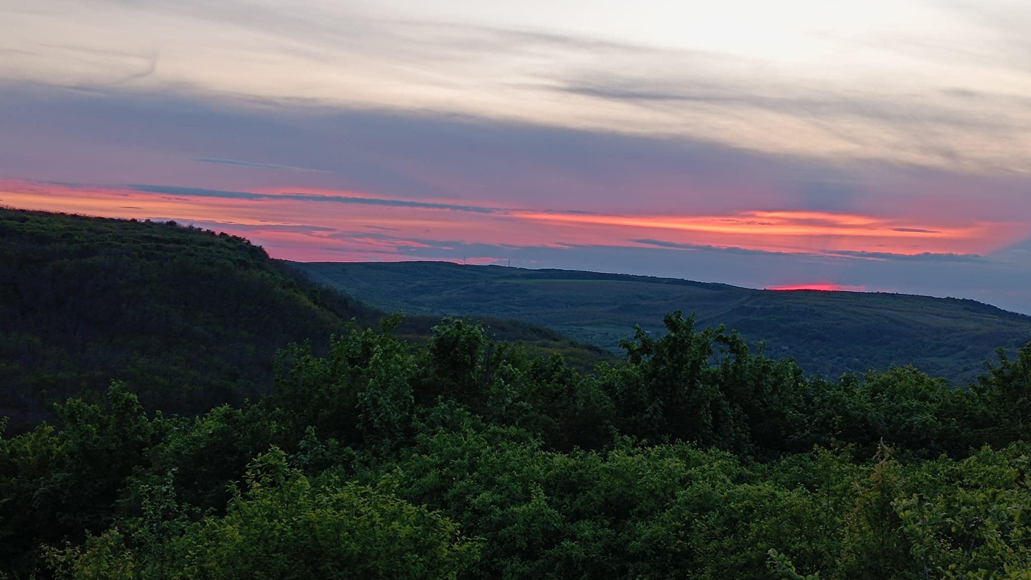 482015212_1168704444912604_5643873127817540551_n